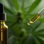 Frasco de óleo de cannabis com conta-gotas, destacando a precisão no uso medicinal.